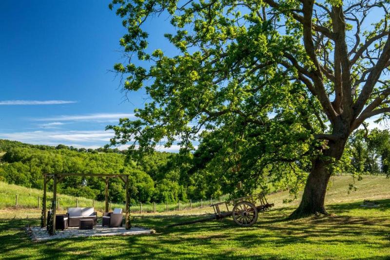 B&B Borgo Vera - Genel