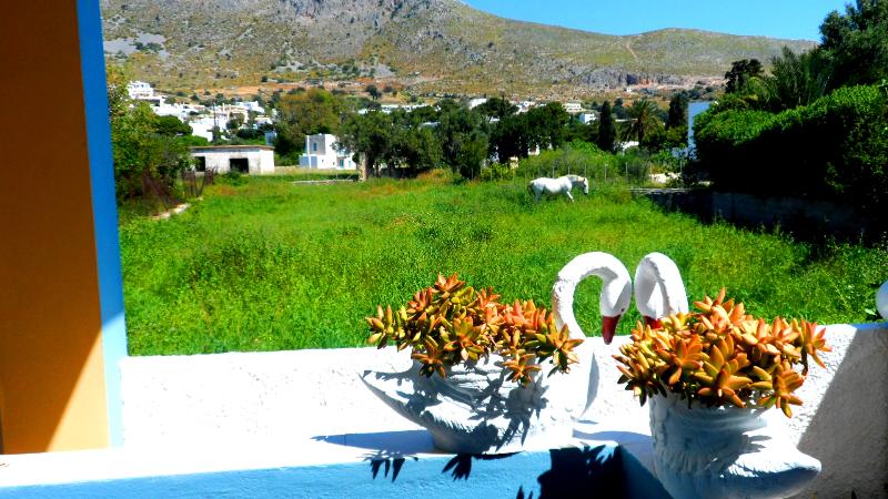 Papafotis Apartments & Suites - Genel