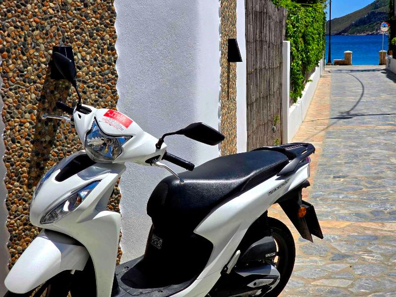 Papafotis Apartments & Suites - Genel
