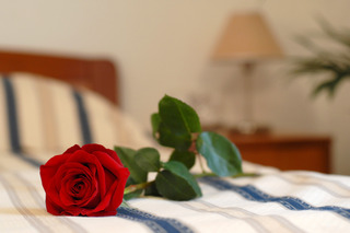 Hotel Rosina fotoÄŸrafÄ±