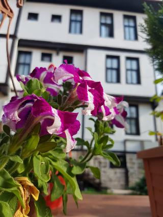 Kastamonu Kadioglu Konagi otel fotoğrafı
