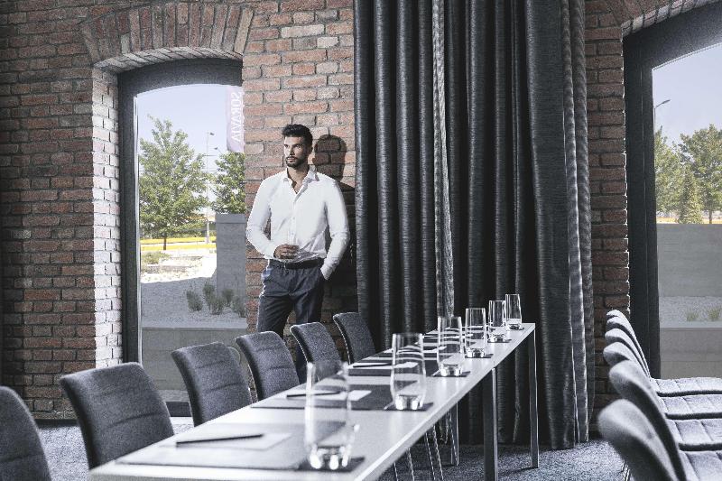 Radisson Collection Hotel, Old Mill Belgrade - Toplantı