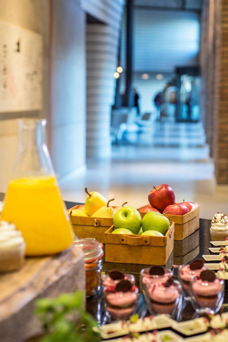 Radisson Collection Hotel, Old Mill Belgrade - Toplantı