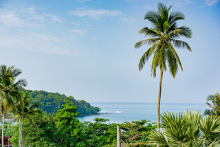 The Pelican Residence & Suites Krabi fotoÄŸrafÄ±