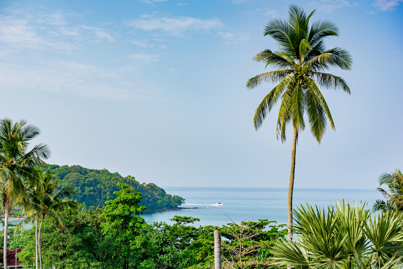 The Pelican Residence & Suites Krabi - Genel