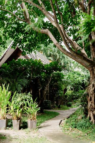 Tolani Southgate Villa Chiang Mai fotoÄŸrafÄ±