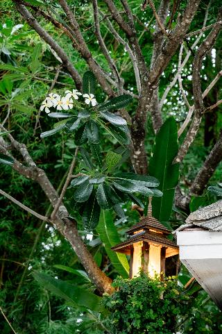 Tolani Southgate Villa Chiang Mai fotoÄŸrafÄ±