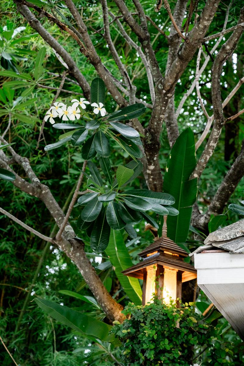 Tolani Southgate Villa Chiang Mai - Genel
