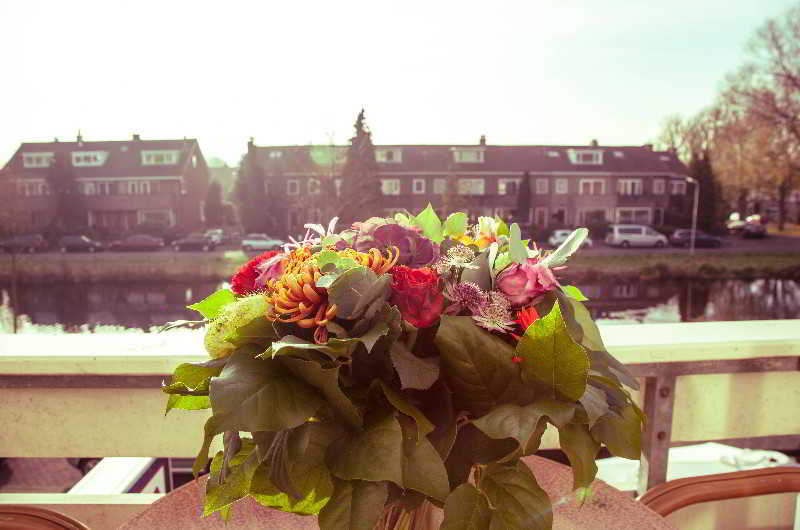 Alp de Veenen Hotel fotoÄŸrafÄ±