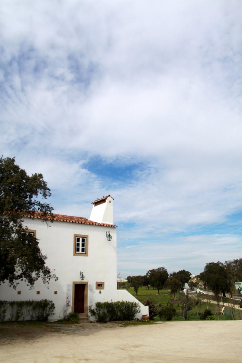 Quinta dos Ribeiros - Lobi