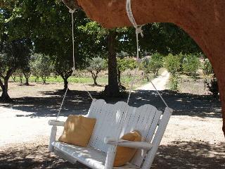 Quinta dos Ribeiros fotoÄŸrafÄ±