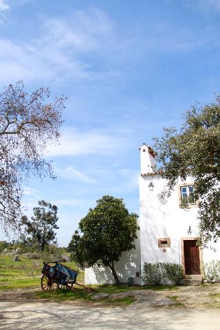 Quinta dos Ribeiros otel fotoğrafı