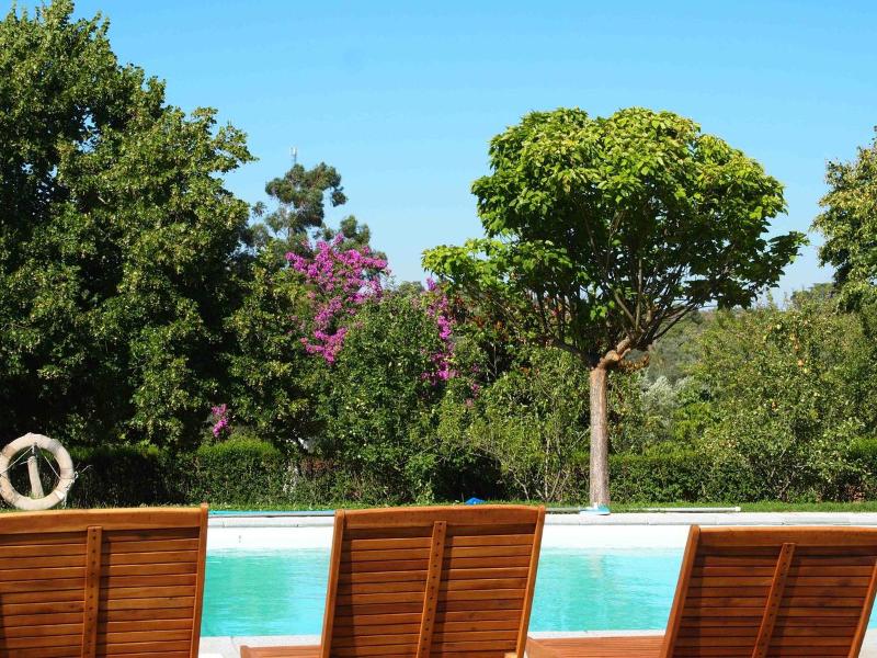 Quinta dos Ribeiros - Havuz