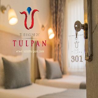 The House Of Tulpan fotoÄŸrafÄ±