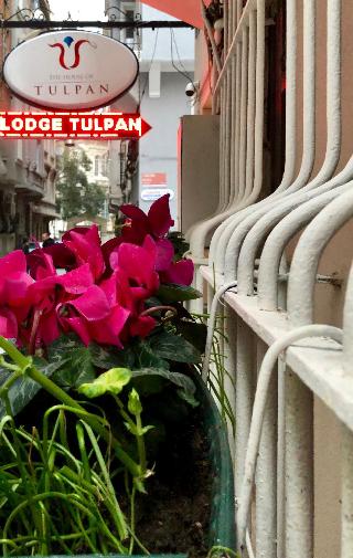The House Of Tulpan fotoÄŸrafÄ±
