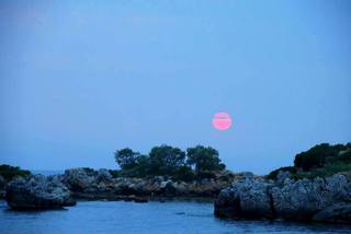 Anaxo Resort fotoÄŸrafÄ±