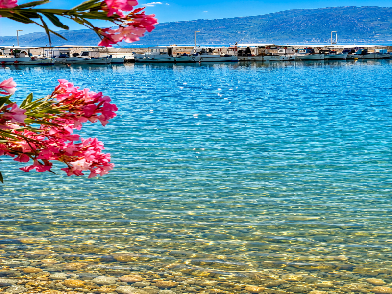 Porto Evia Boutique hotel by Xenia Resorts - Genel