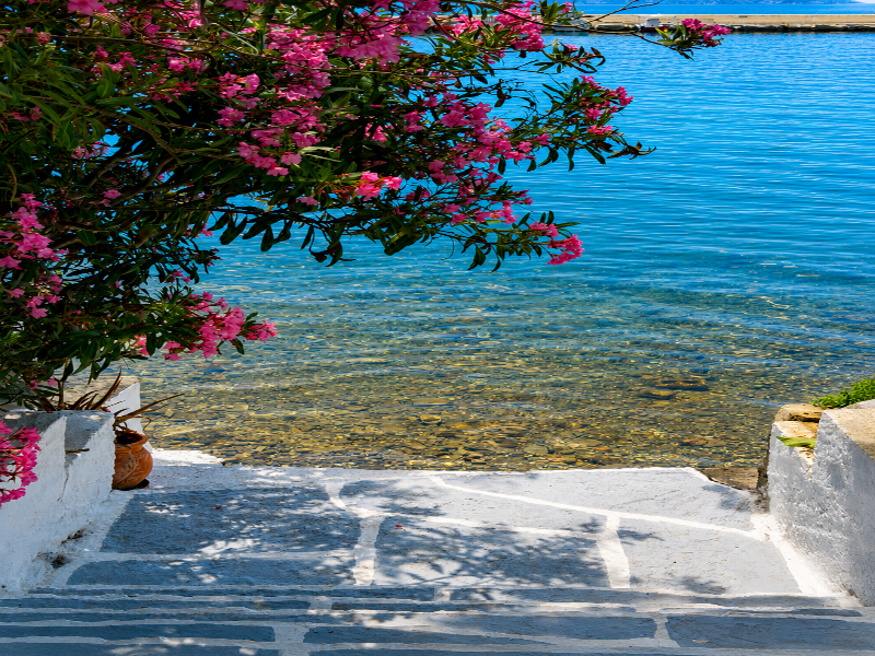 Porto Evia Boutique hotel by Xenia Resorts - Genel