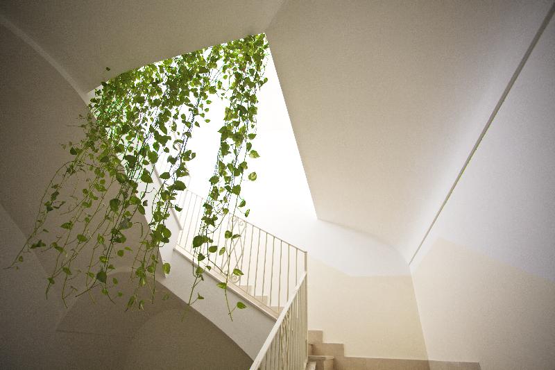 Sisters' Hostel - Genel