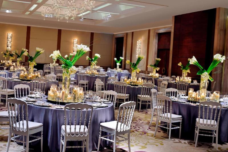 Renaissance Cairo Mirage City Hotel - Toplantı