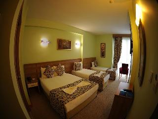 Nice Royal Hotel fotoÄŸrafÄ±