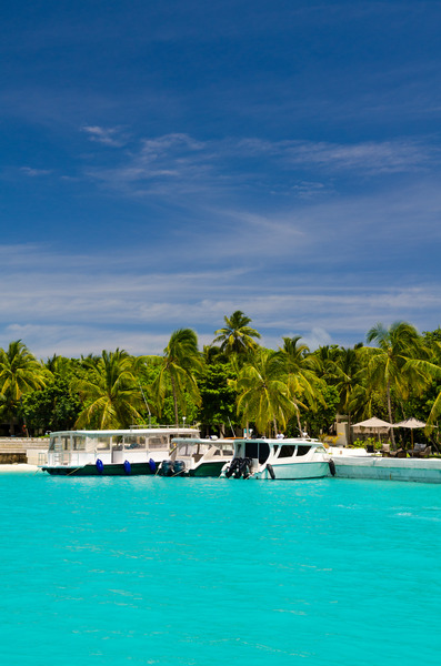 Amilla Maldives Resort and Residences - Lobi
