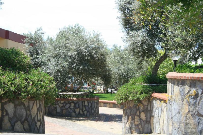 Nysa Hotel - Genel