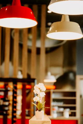 Ibis Sofia Airport fotoÄŸrafÄ±