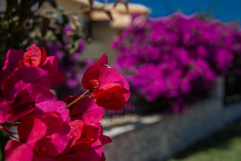 Keri Village & Spa by Zante Plaza - Genel