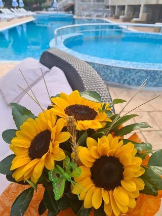Tropics Hotel - Ultra All Inclusive fotoÄŸrafÄ±