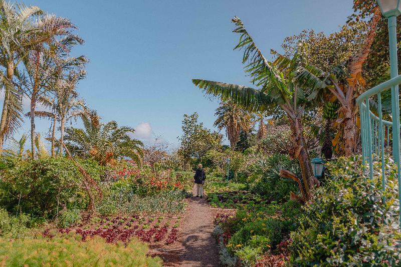 Quinta Splendida Wellness and Botanical Garden - Genel