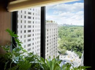 1 Hotel Central Park fotoÄŸrafÄ±