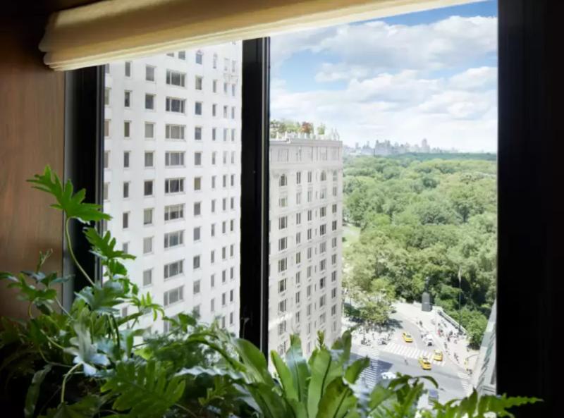 1 Hotel Central Park - Oda