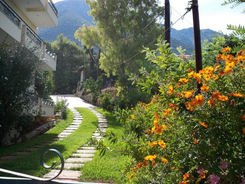 Aliki Hotel - Genel