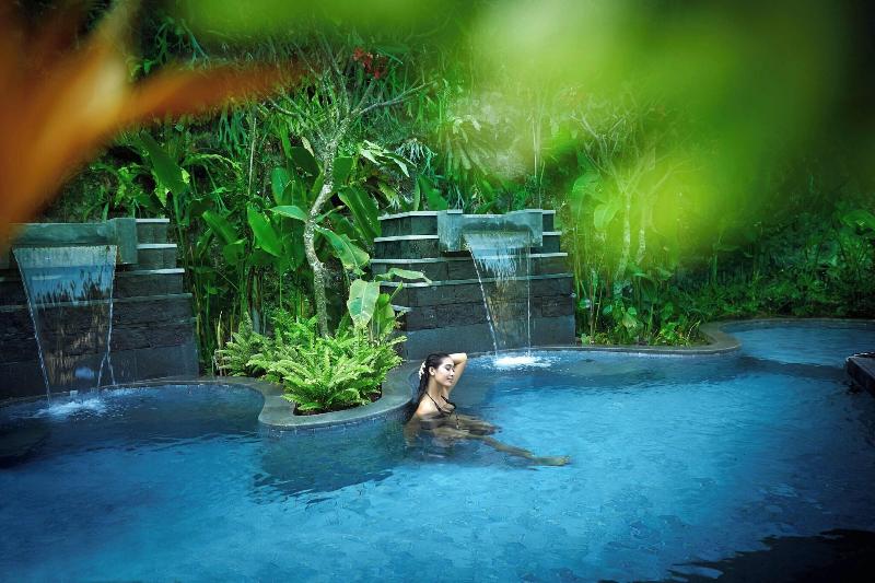 The Ritz-Carlton, Bali - Havuz