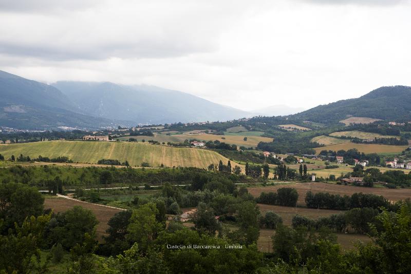 Castello di Baccaresca - Genel
