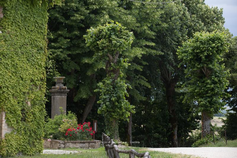 Castello di Baccaresca - Genel