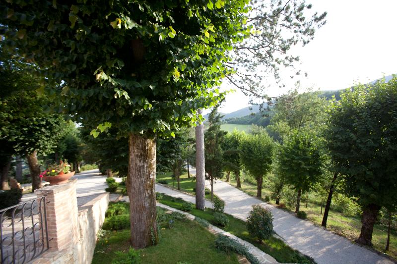 Castello di Baccaresca - Teras