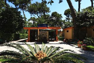Mediterranean village San Antonio fotoÄŸrafÄ±