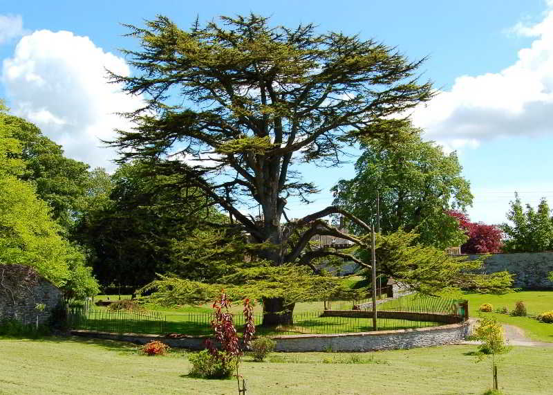 Ernespie House Hotel fotoÄŸrafÄ±