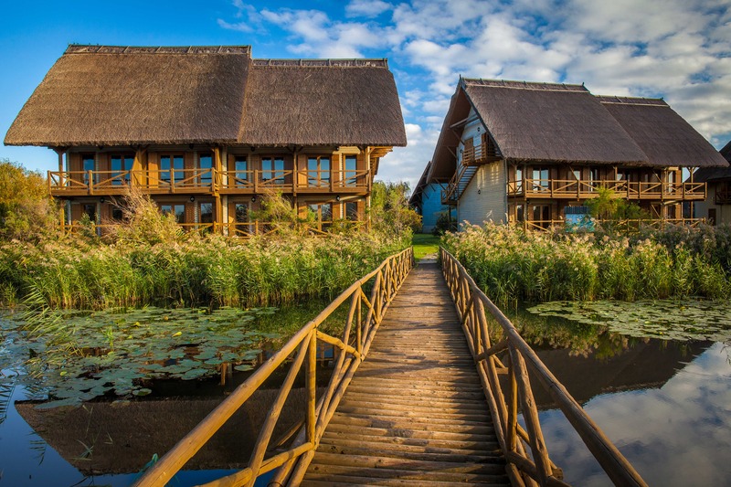 Green Village Resort - Genel
