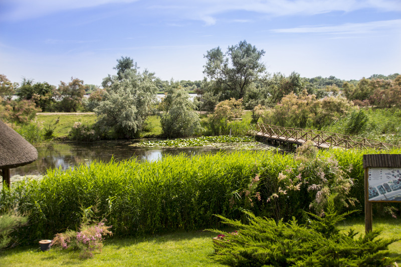 Green Village Resort - Genel