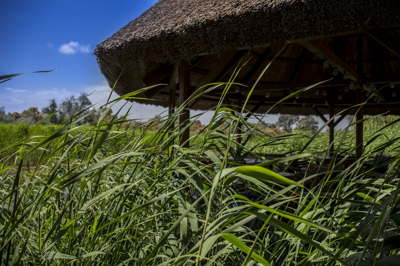Green Village Resort - Genel