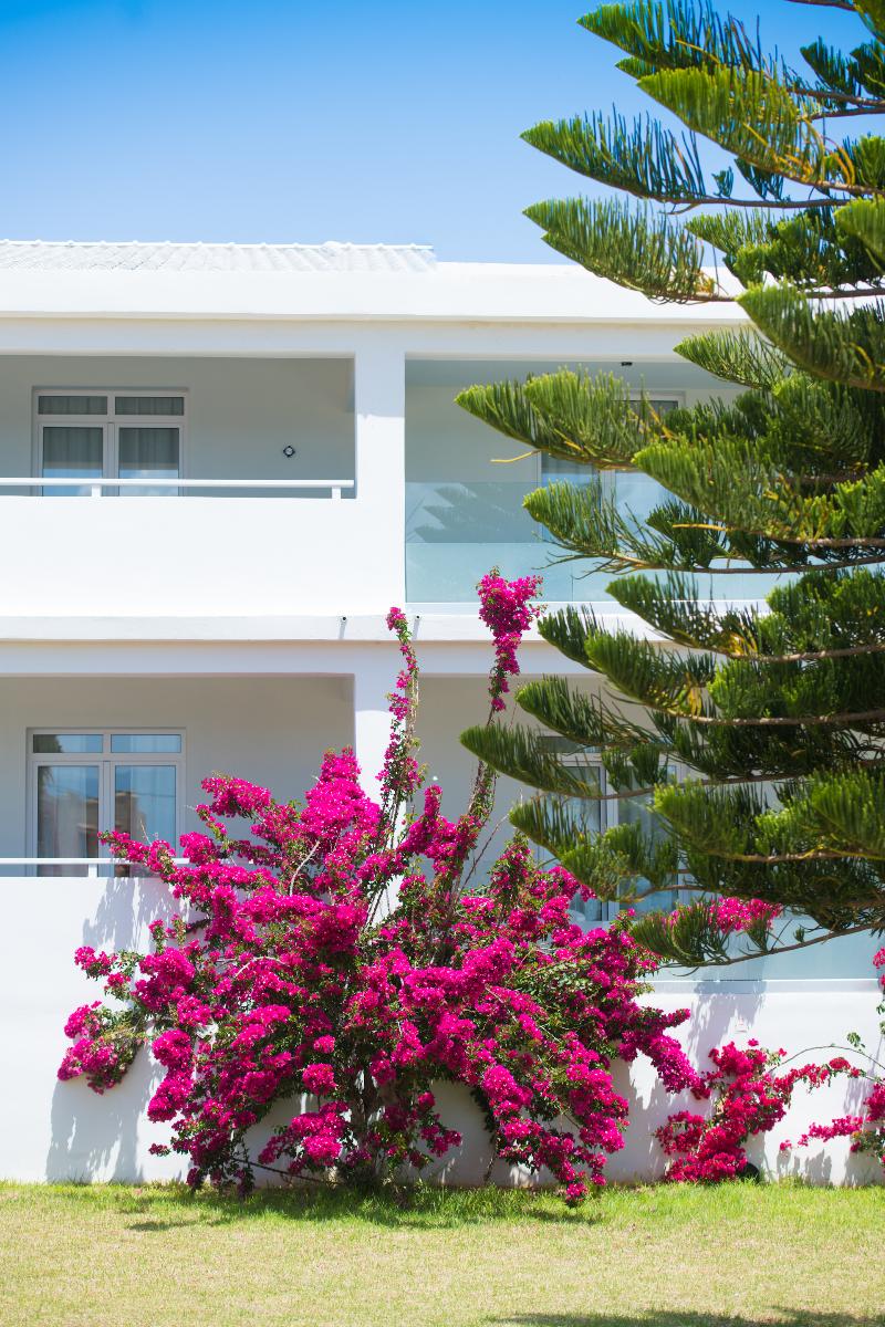 Aulus Chania Resort, Curio Collection by Hilton - Genel