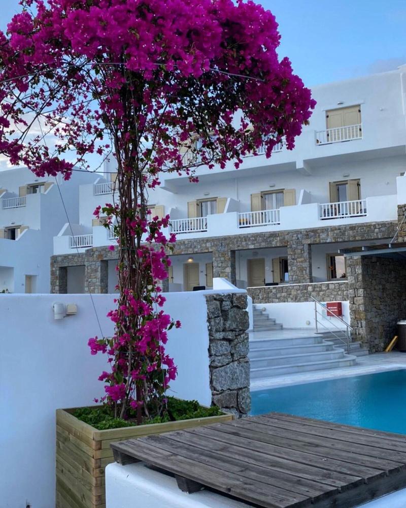 The George Hotel - Teras
