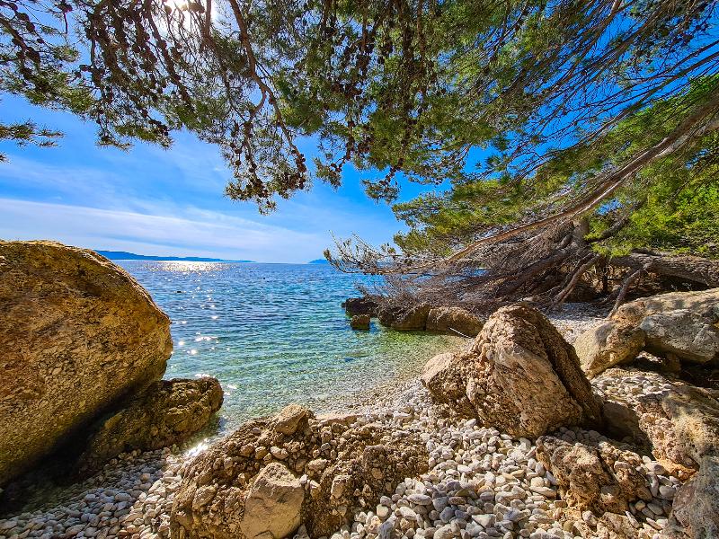 TUI Blue Makarska - Plaj
