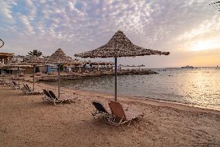 King Tut Aqua Beach Resort fotoÄŸrafÄ±