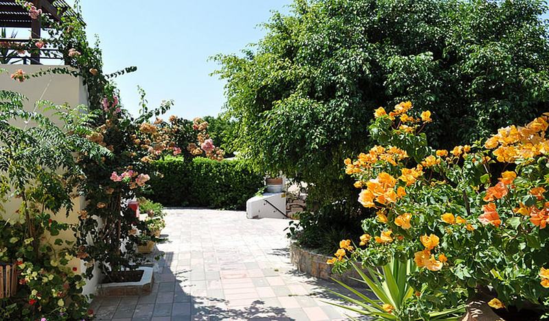 Pefkos Village Resort - Genel