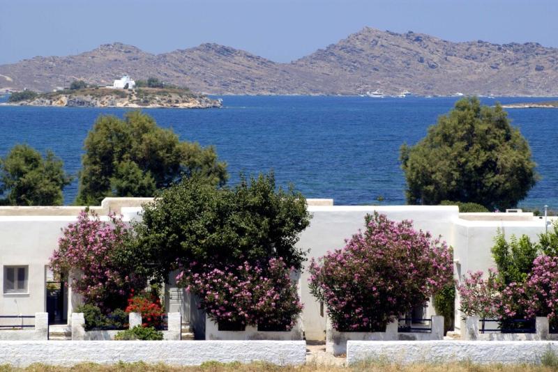 Naoussa Hotel - Genel
