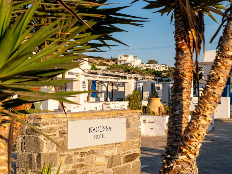 Naoussa Hotel - Genel
